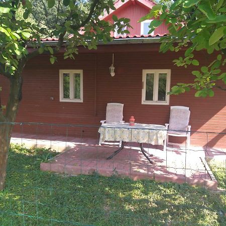 Rustic Country House In Snagov Lejlighed Eksteriør billede