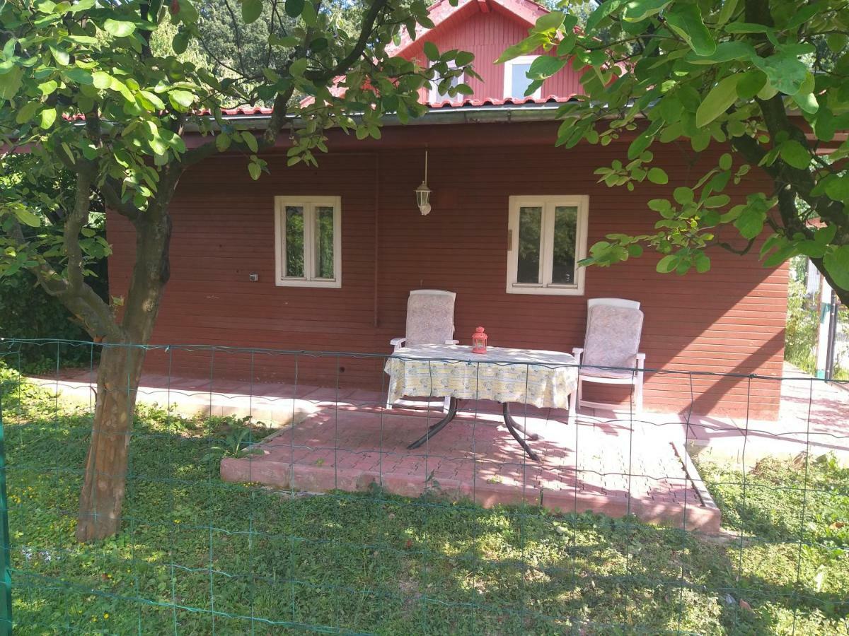 Rustic Country House In Snagov Lejlighed Eksteriør billede